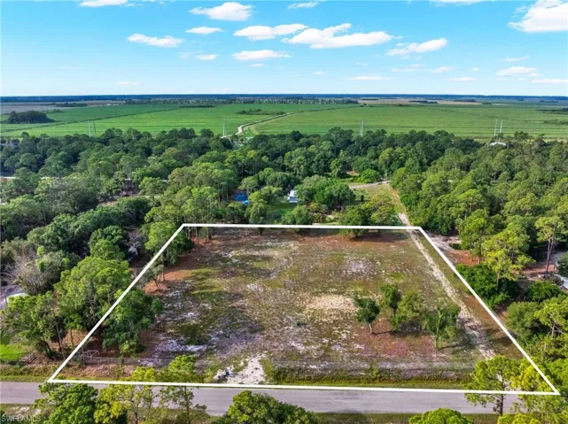 Expansive parcel featuring a cleared central area, perimeter trees, and direct road frontage