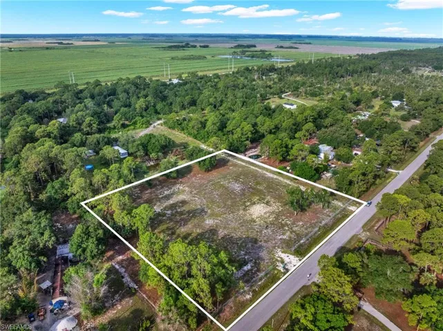 Expansive land parcel featuring a cleared building envelope, mature perimeter trees, and direct road frontage