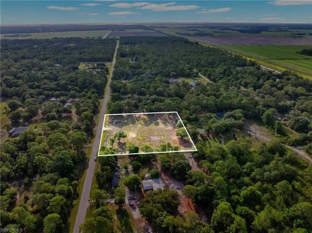 Aerial representation of a land parcel featuring a cleared building site, mature tree coverage, and a paved road frontage