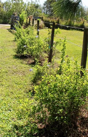 1121  Carson SW DR, Labelle, FL 33935