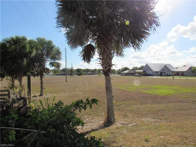View of yard from the top of the berm