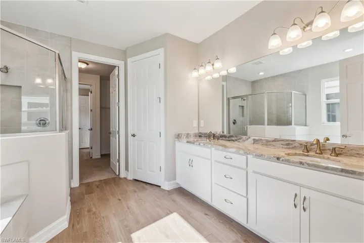 Bathroom with a shower with door, hardwood / wood-style floors, and vanity