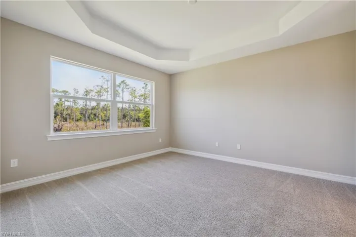 Carpeted spare room with a tray ceiling