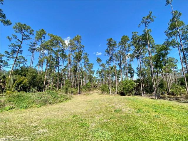 4785 6th AVE SE, NAPLES FL 34117