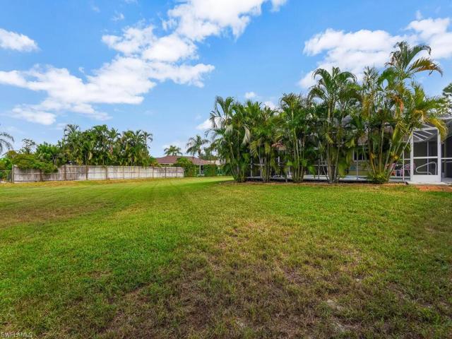 Massive Backyard