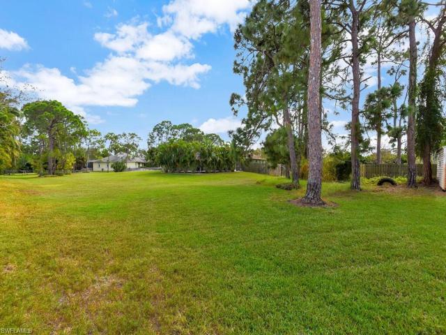 Massive Backyard