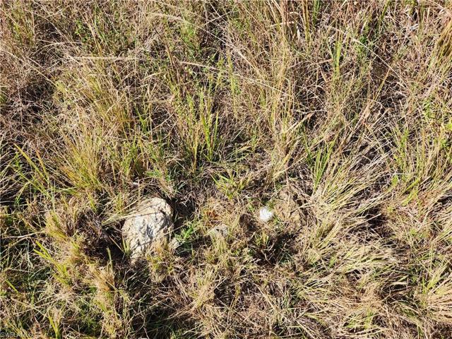 SE Corner Survey Marker