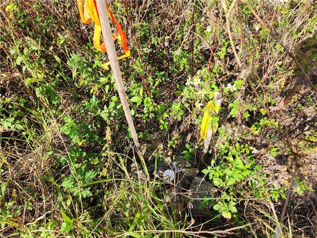 NW Corner Survey Marker