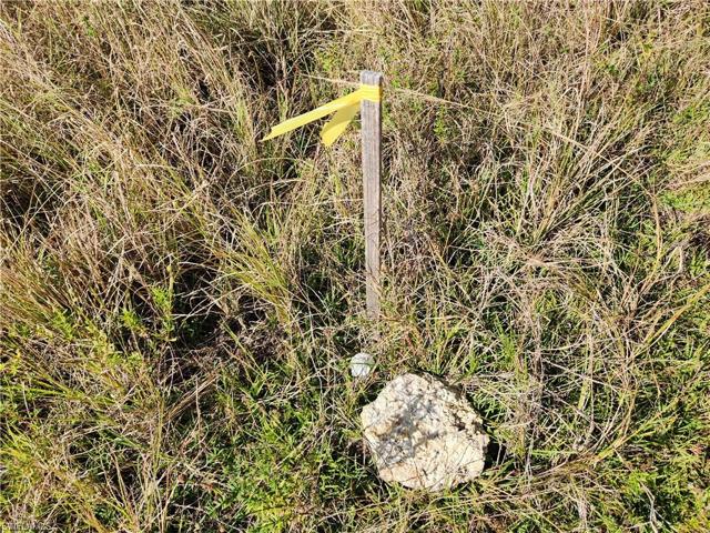 NE Corner Survey Marker