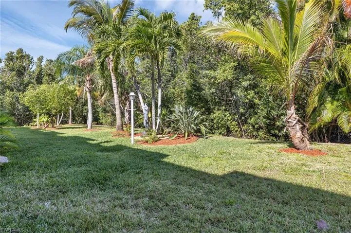 back yard