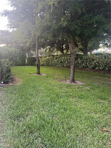 View of green lawn