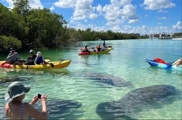 Fun things to do in Naples!
