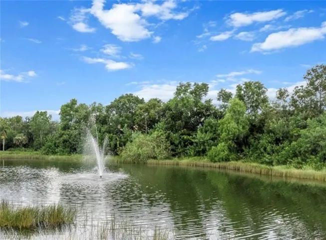 Lake view