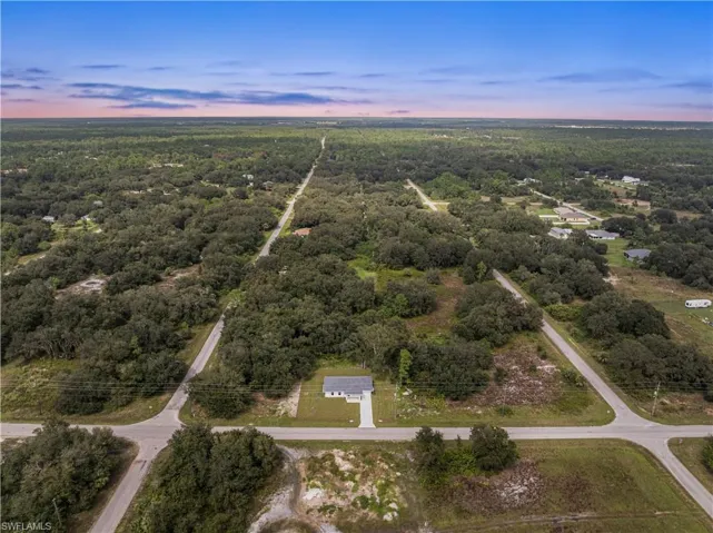 Aerial view at dusk featuring a view of trees