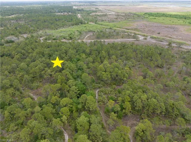 Pioneer Plantation, CLEWISTON FL 33440