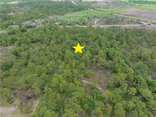 Pioneer Plantation, CLEWISTON FL 33440