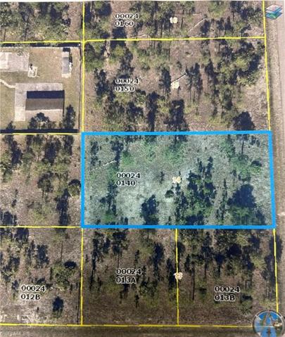 1003  Washington  AVE, LEHIGH ACRES, FL 33972