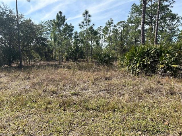 1003  Washington  AVE, LEHIGH ACRES, FL 33972