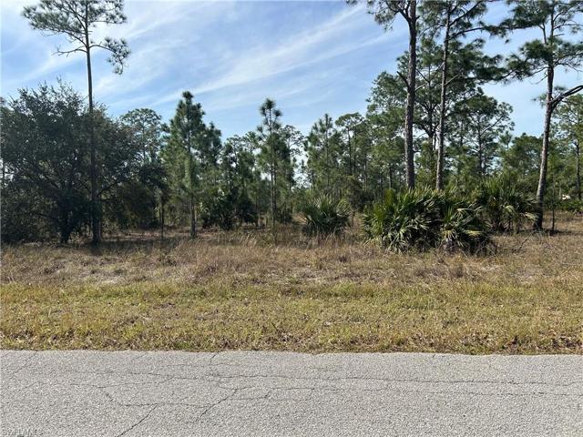 1003  Washington  AVE, LEHIGH ACRES, FL 33972