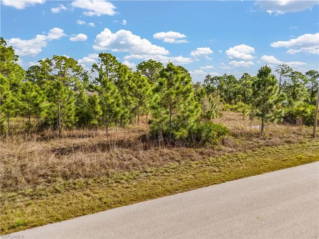 1113 Darling St E, Lehigh Acres, Florida 33974