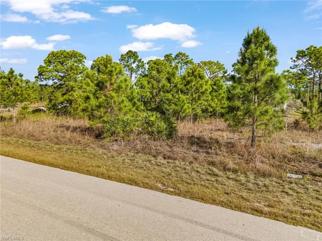 1113 Darling St E, Lehigh Acres, Florida 33974