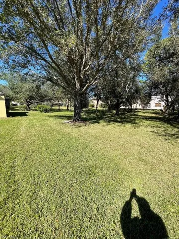 View of yard in the back
