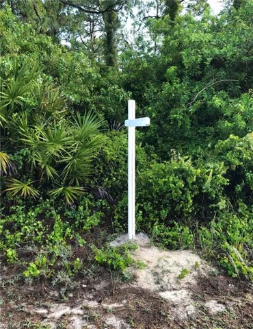1003 E 16th St, Lehigh Acres, Florida 33972