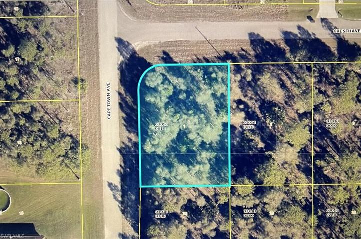1010 Cresthaven ST, LEHIGH ACRES FL 33974