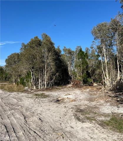 1010 Cresthaven ST, LEHIGH ACRES FL 33974