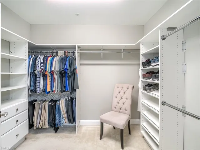 Spacious closet with light carpet