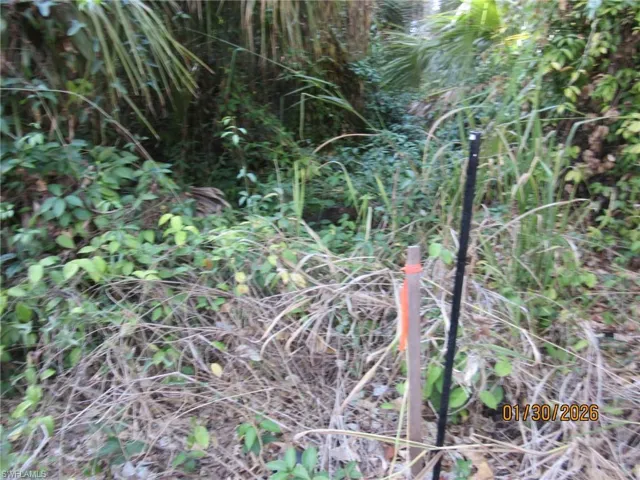 View of undeveloped land