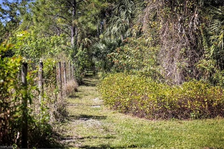 Walking Paths