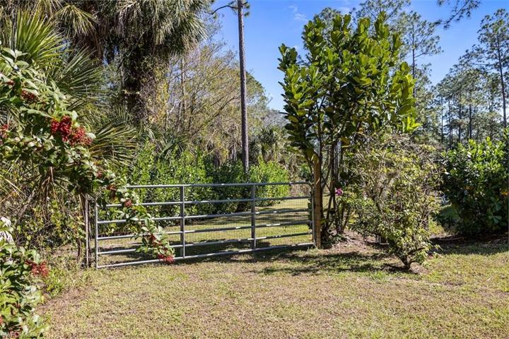 Side gate into the fenced back yard