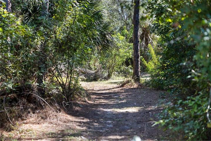 Walking Paths in Backyard