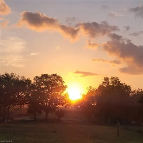 View of nature at sunrise