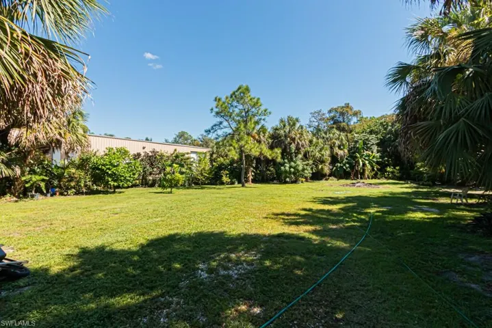 View of green lawn