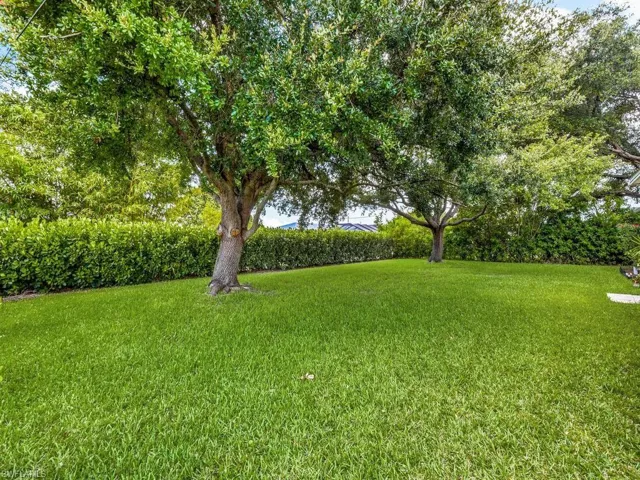 Fence-in Backyard & Privacy Hedages