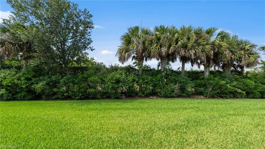 11544 Verandah Palm Ct, Fort Myers, Florida 33905