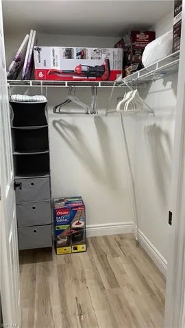 Spacious closet featuring wood-type flooring