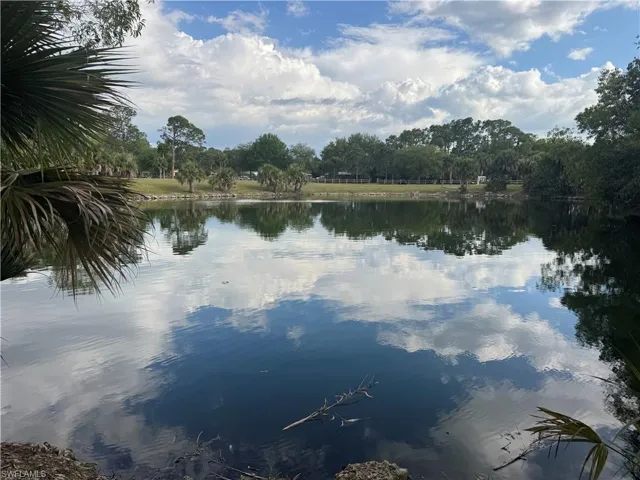 Neighborhood Park with pond