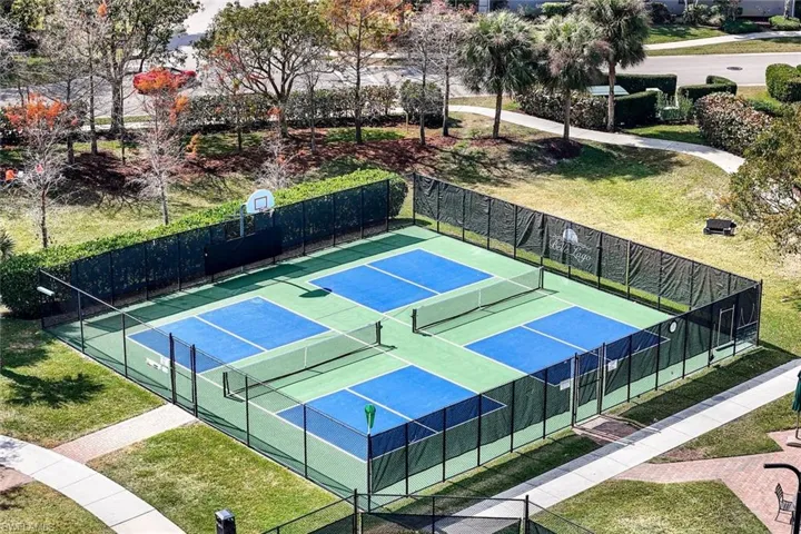 Pickleball or basketball?
