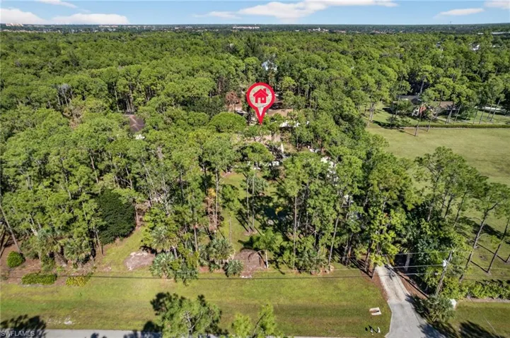 Bird's eye view of a forest