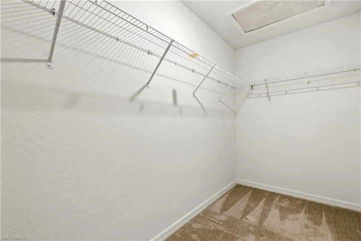 Walk in closet with carpet