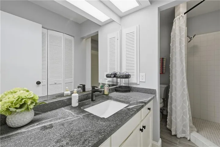 Full bath with a stall shower, vanity, a closet, and a skylight