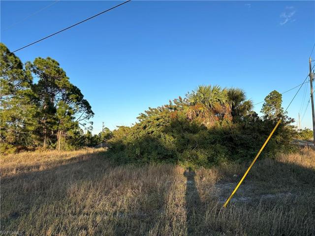 2518  33rd SW ST, LEHIGH ACRES, FL 33976