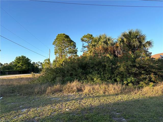 2518  33rd SW ST, LEHIGH ACRES, FL 33976