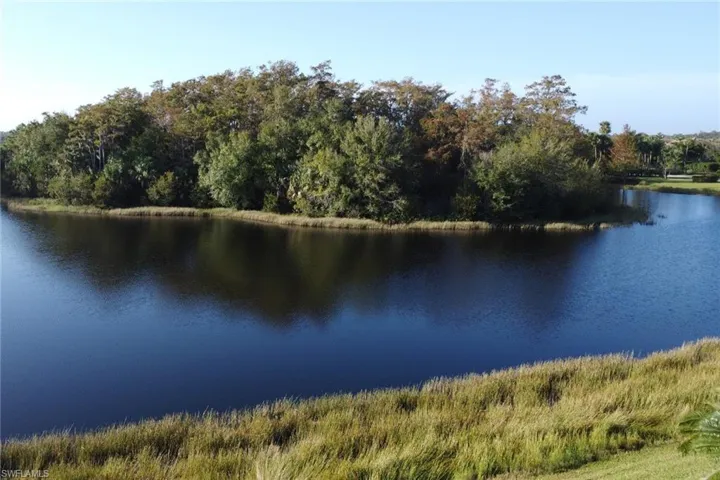 Such a peaceful feeling to gaze at this lake view behind home.