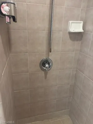 Master shower