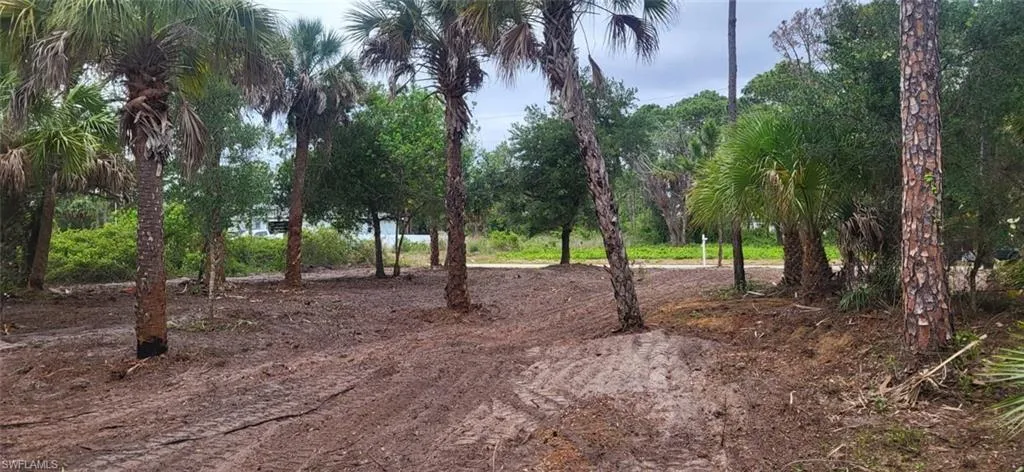 315 IVANHOE AVE  Banyan Village  , Labelle, FL 33935