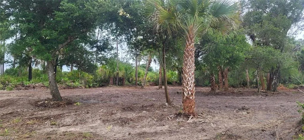 315 IVANHOE AVE  Banyan Village  , Labelle, FL 33935
